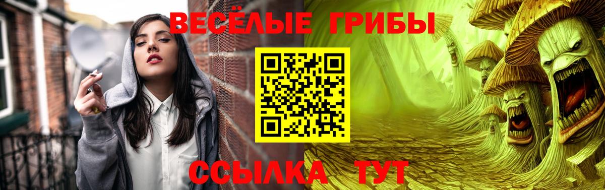Псилоцибиновые грибы Psilocybe Среднеуральск