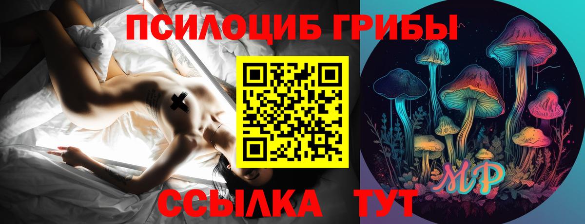 что такое наркотик  Вход с VPN  Среднеуральск  Псилоцибиновые грибы ЛСД  Псилоцибиновые грибы MAGIC MUSHROOMS 